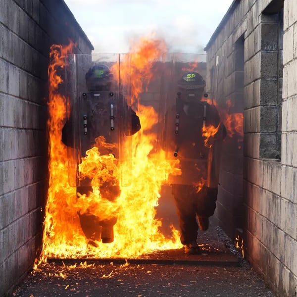 Public Order and Prison